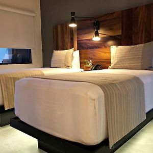 Suite con Cama King